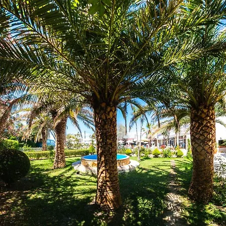 Отель Angela & Apts 3*