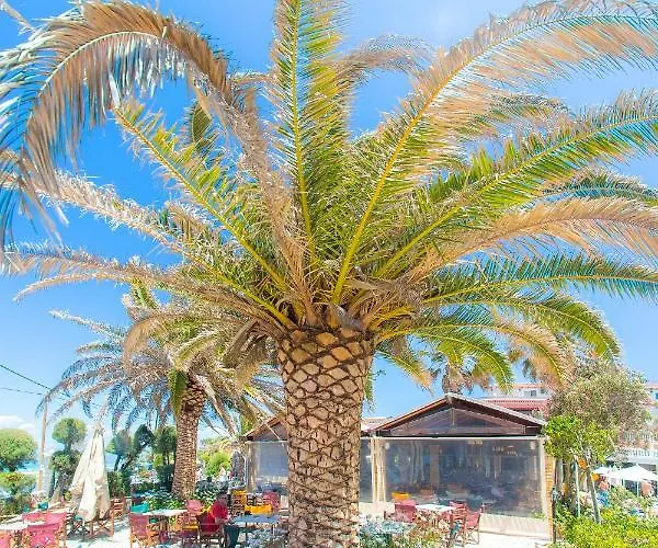 Hotel Angela & Apts 3*